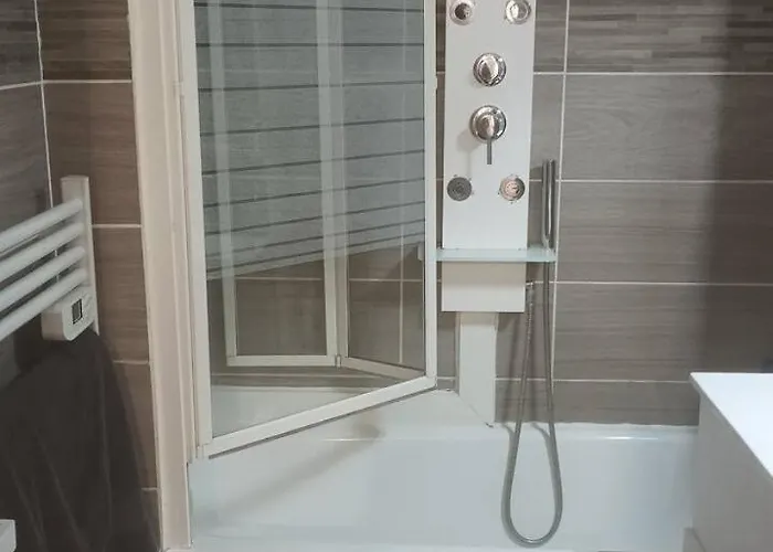 T3 Equipe Ideal Famille Comodites Jeux Et Terrains A Proximite * トゥールーズ